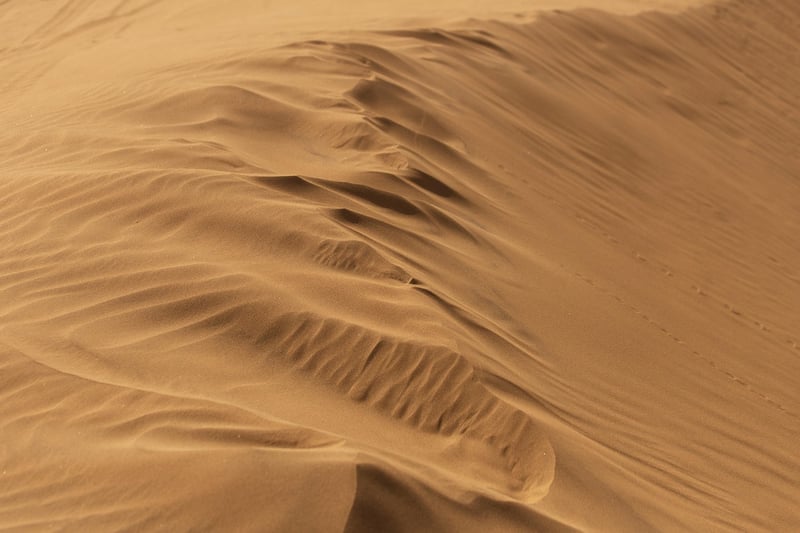 Desert beauties