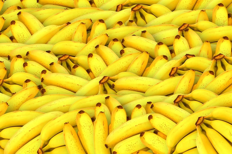 Nutritious harvest